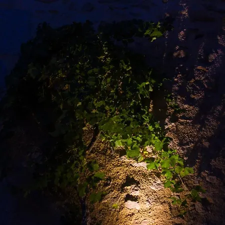 Nocleg ze śniadaniem Le Puy Carmin - D'hotes Avec Jacuzzi 3*