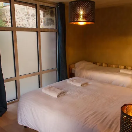 Le Puy Carmin - D'hotes Avec Jacuzzi